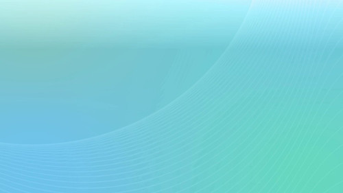 flYpGKJR4 VGGvan.jpg