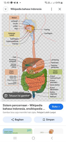 WhatsApp Image 2025 12 09 at 12.50.00.jpg