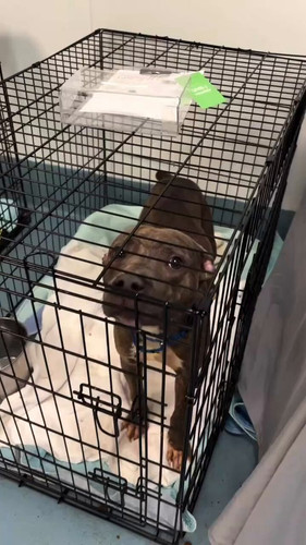 c 8x0aXhY Kx0WsS.jpg