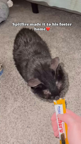 MOIk5R8XNgM CBGY.jpg