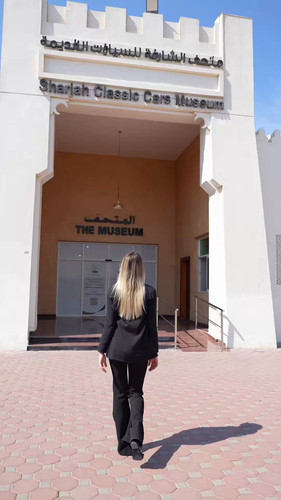 43wBMFX hcT5FGld.jpg