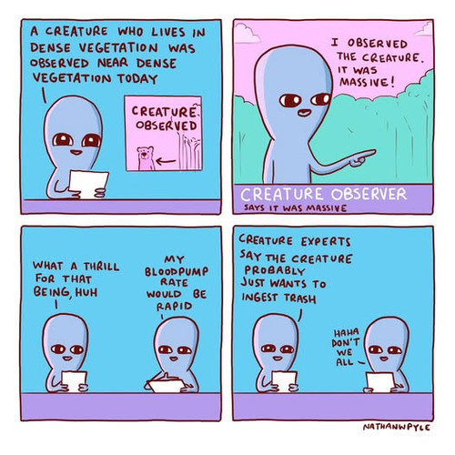 596522390 1412383780256739 7596899506573368717 n.jpg
