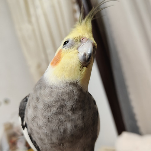 IMG 20251209 163024.jpg