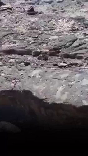 Q t2XTgwWpB2BC87.jpg