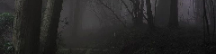 New Project 2025 12 08T013507.345 (4).png