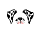 puppy.gif
