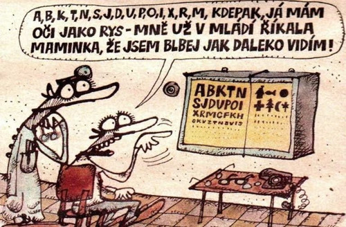 591923218 25172036482405935 2019588804474341967 n 768x504.jpg