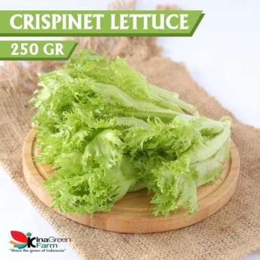 inagreen farm sayur crispinet lettuce organik inagreen 250 gram bandung full03 qeupdk4f.jpg