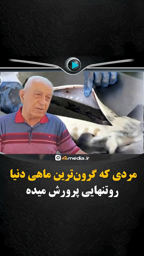 aA2F7sEYrZxY87s .jpg
