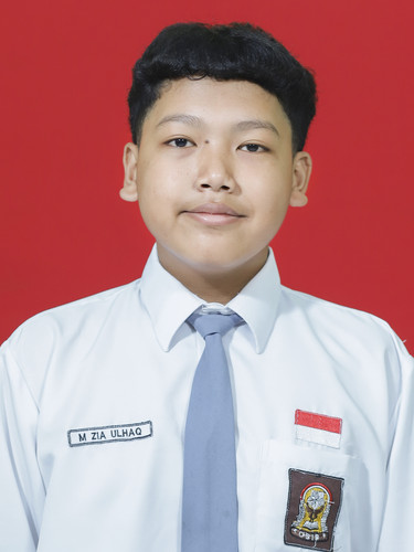 M. ZIA ULHAQ.jpg