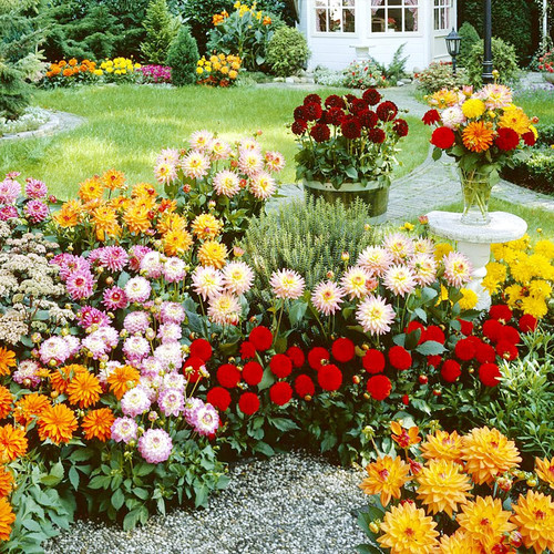 81BnlEjGXkS. AC SL1500 .jpg