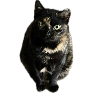 G7k8SaIW0AAAPFm.png