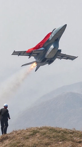 b540bee7f207.jpg