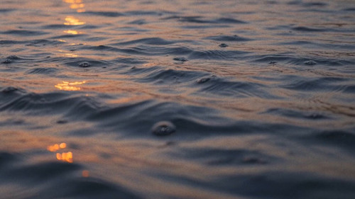 457TdJ E4v4OvDfr.jpg