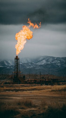 Need to check your monthly gas bill Don’t worry! Just click here httpsgasbillonlinecheck.pk4.jpg