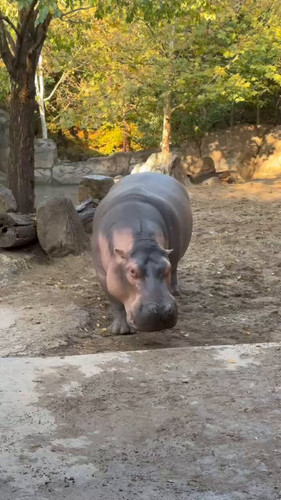 L9fkPOxoWIobBn9 .jpg