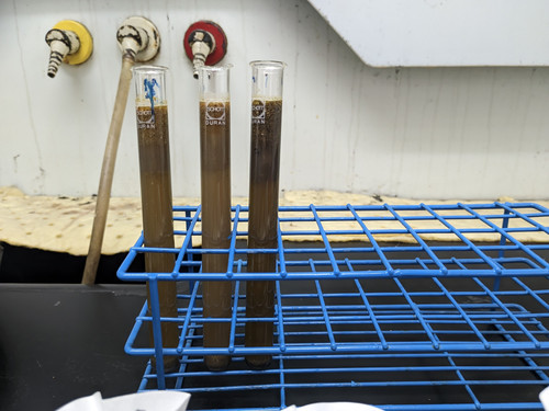 PXL 20251209 135702504.jpg