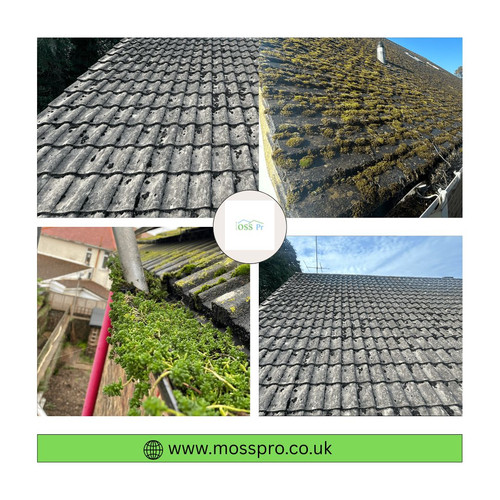 Flat roofing Worthing.jpg