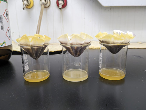 PXL 20251209 141441215.jpg