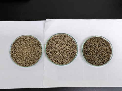 PXL 20251209 115623427.jpg