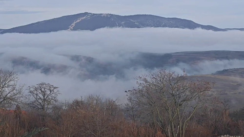 S h4 jelMk4U8MBr.jpg