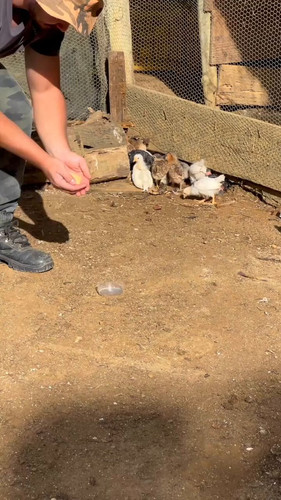 thbn ygfAXtPH6JW.jpg