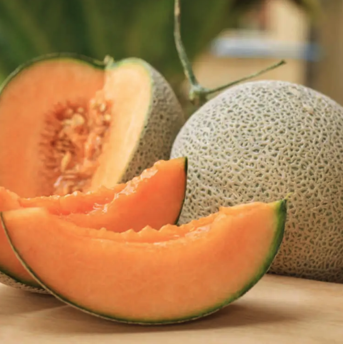 Fujisawa Melon