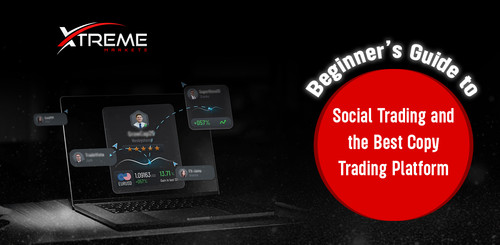 Beginner’s Guide to Social Trading and the Best Copy Trading Platform.jpg