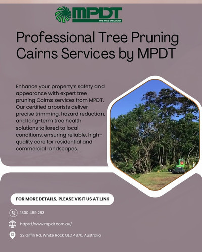 Professional Tree Pruning Cairns Services by MPDT.jpg