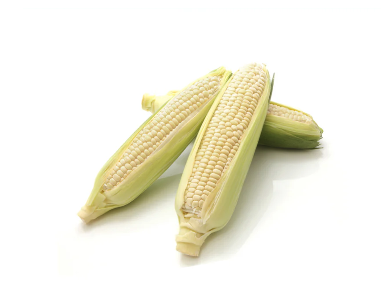 White Corn