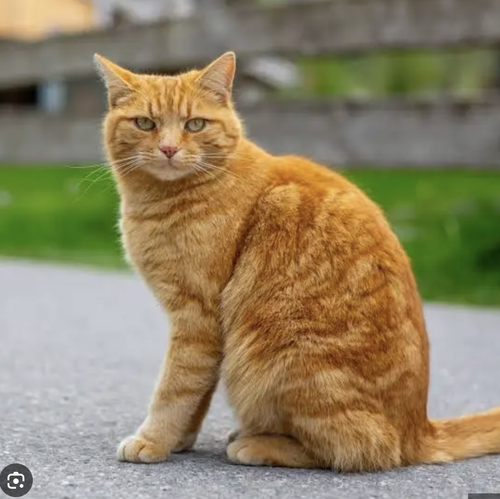 Screenshot 2025 12 09 at 09.26.51.png