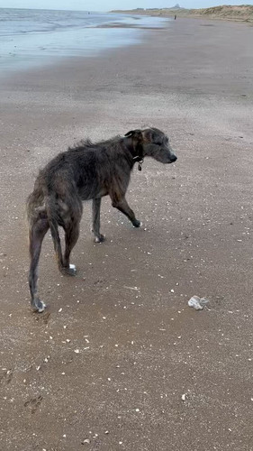 BDsOynztSXLo3F2 .jpg