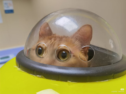 Camera XHS 1765190355778.jpg