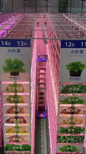 y1i Chly3 awahez.jpg