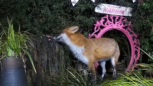 fWfRkbz UhsIFDFQ.jpg