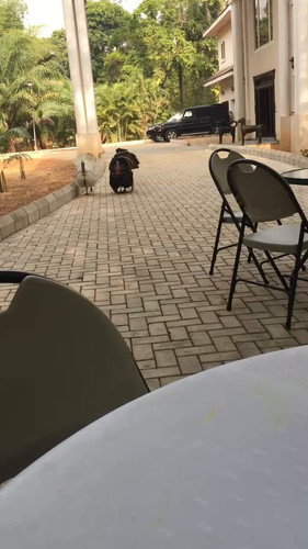 cS WHLkGr koqbxg.jpg