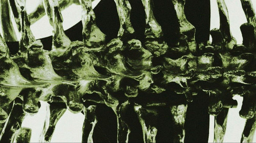 file 19746.jpg