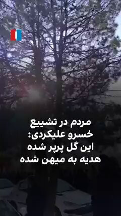 6qLHg9LiNJQ9OWuY.jpg