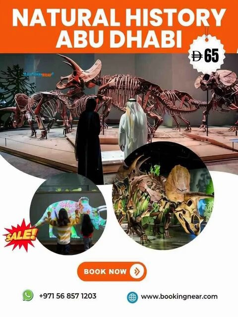 f74C2 0xjC7JTEK6.jpg