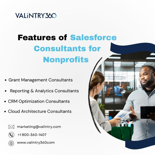 Features of Salesforce Consultants for Nonprofits_.jpg