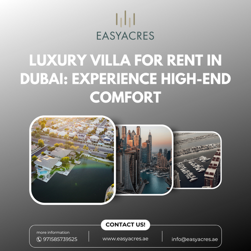 Luxury Villa for Rent in Dubai Experience High End Comfort.png