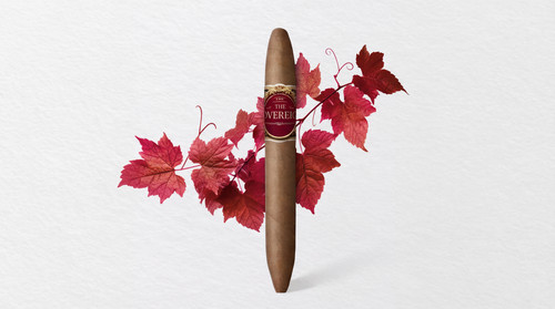 generated image 1764256723563.jpg