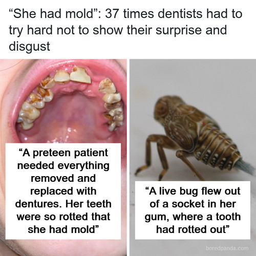 dentists horror.jpg