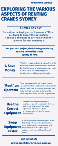 Exploring the various aspects of renting cranes Sydney.jpg
