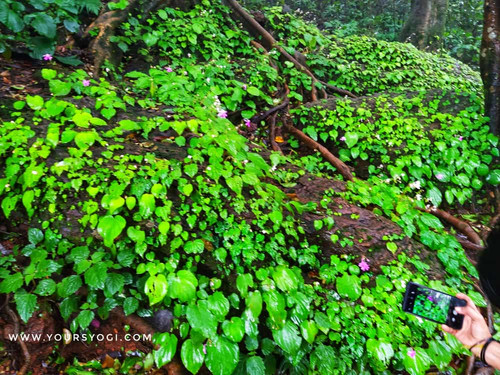 .trashed 1629606797 IMG 20210721 WA0119.jpg