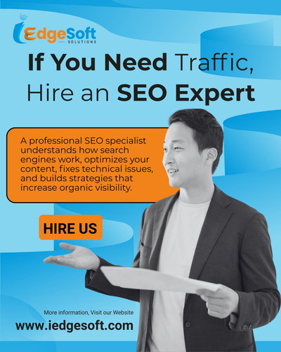 If You Need Traffic, Hire an SEO Expert.jpg
