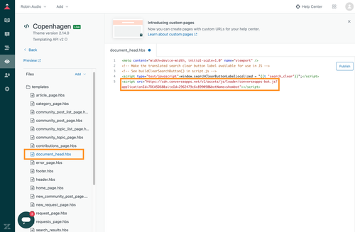 paste code snippet.90164eb1.png