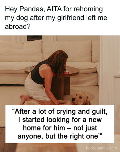 aita rehoming dog breakup.jpg