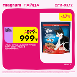 Magnum 1620x1620 1 tov 2025 11 27T091102.880