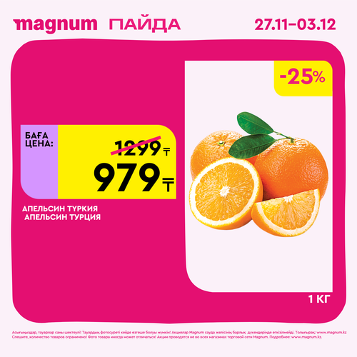 Magnum 1620x1620 1 tov 2025 11 27T091114.952.png